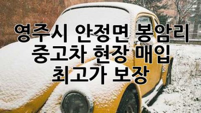 영주시 안정면 봉암리 중고차 현장 매입, 최고가 보장!