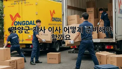 영양군 지사 이사, 어떻게 준비해야 할까요?