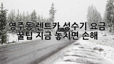 영주동 렌트카 성수기 요금 꿀팁🍯 지금 놓치면 손해!