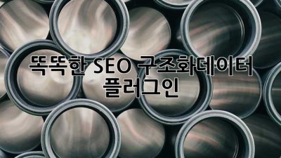 똑똑한 SEO! 구조화데이터 플러그인 ✨